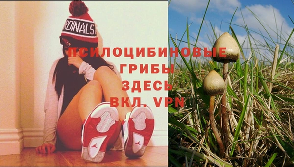 гидропоника Горняк