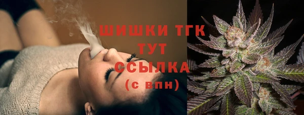 сатива Володарск