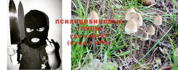 гидропоника Горняк