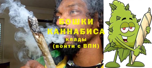сатива Володарск