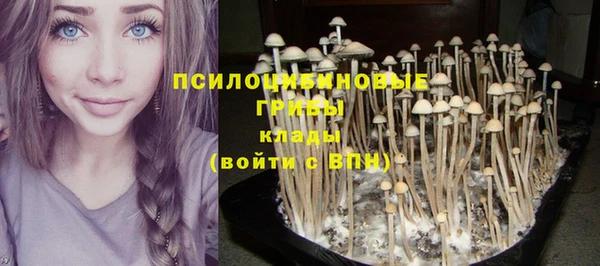 индика Галич